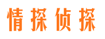 河东区市婚外情调查